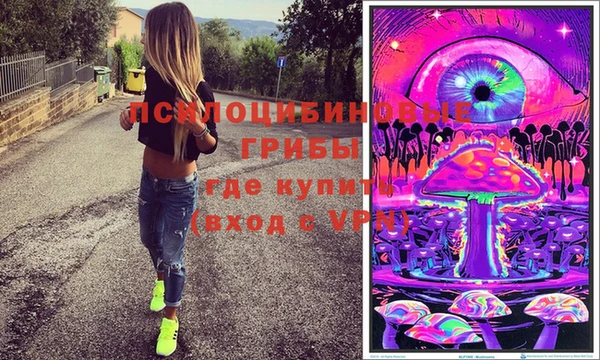 гашиш Богданович